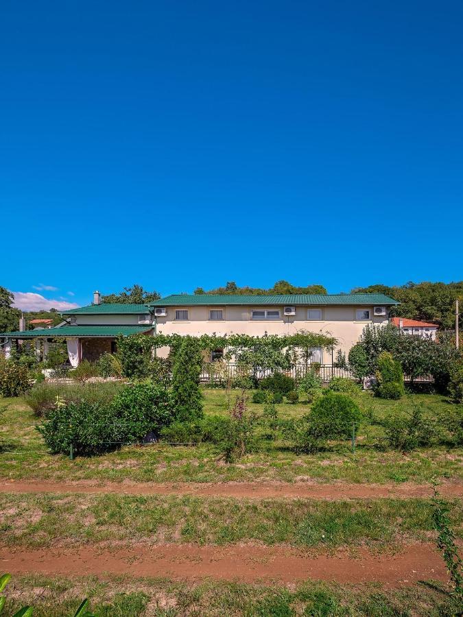 Apartments Villa Roza Drazice Luaran gambar